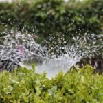 irrigation, splash, water-2402568.jpg