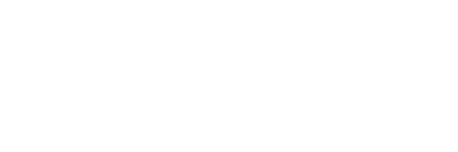 Austin Pro Services LLC